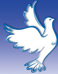 2015第三屆中國(guó)信鴿文化博覽會(huì)